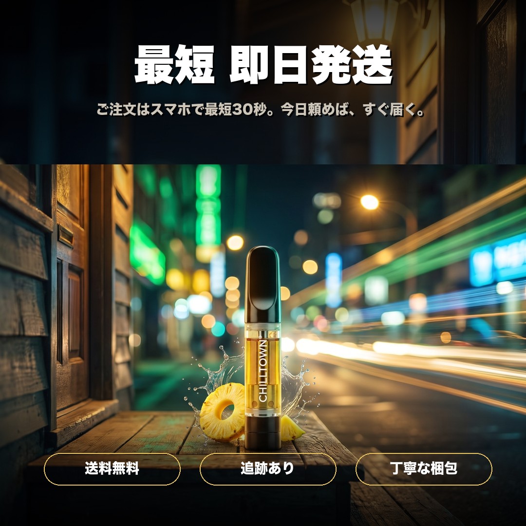 最短即日発送 送料無料 追跡番号つき 今日頼めばすぐ届く